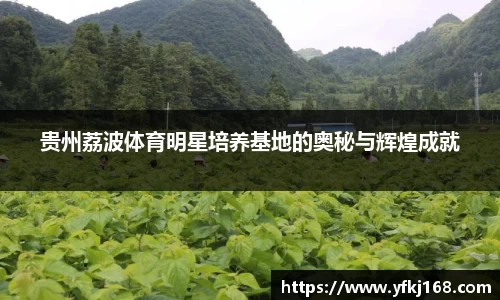 中欧体育